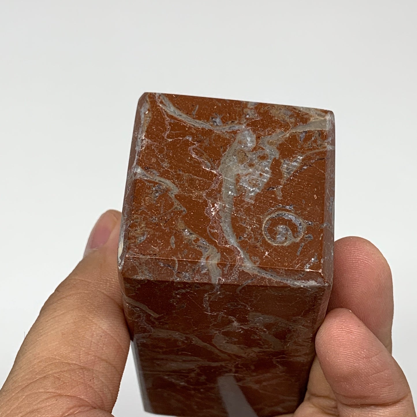 364.1g, 4" x 1.6" Natural Red Shell Fossils Tower Obelisk Wand @Morocco, F888