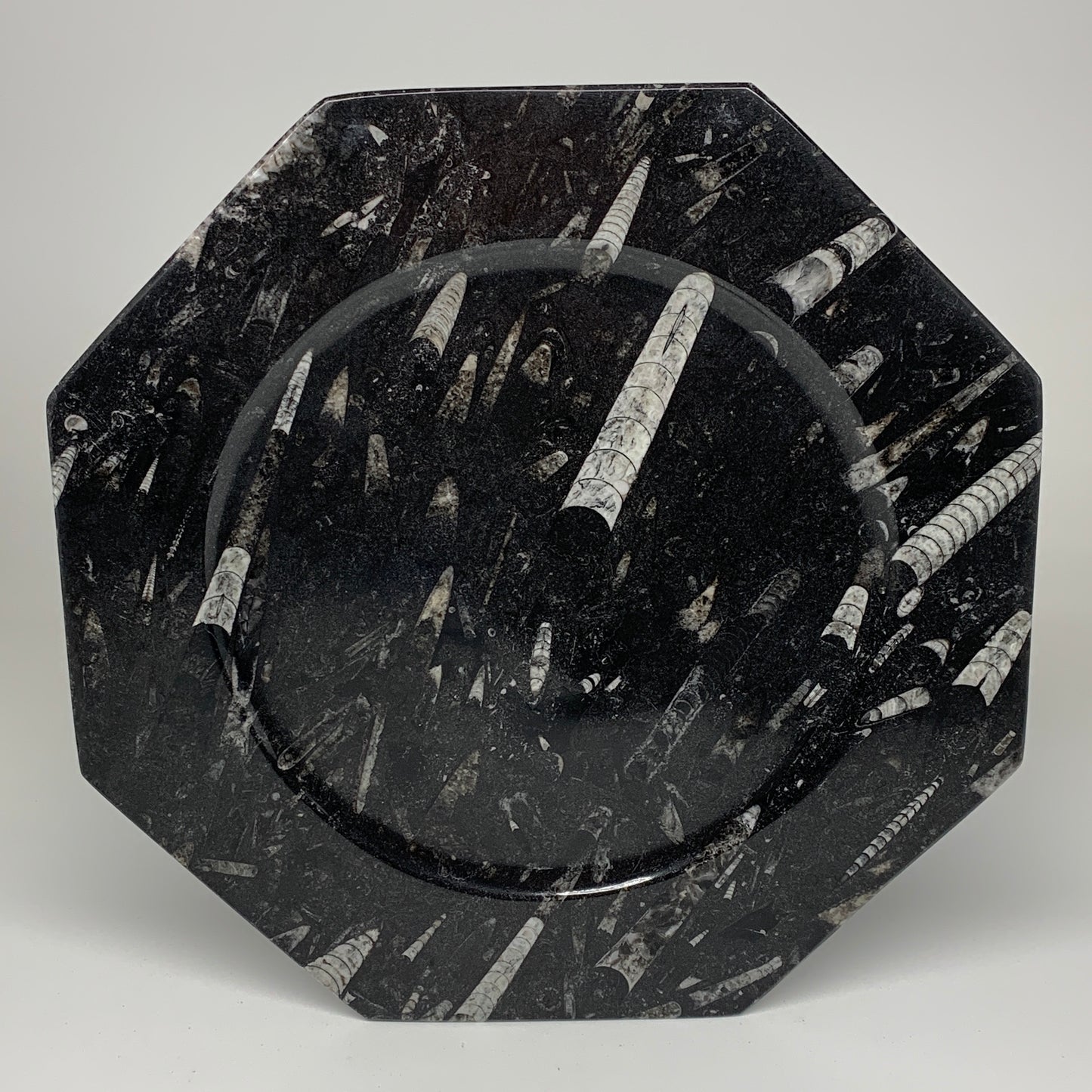 2pcs, 12" Large Octagon Shape Black Fossils Orthoceras Plates @Morocco, B8359