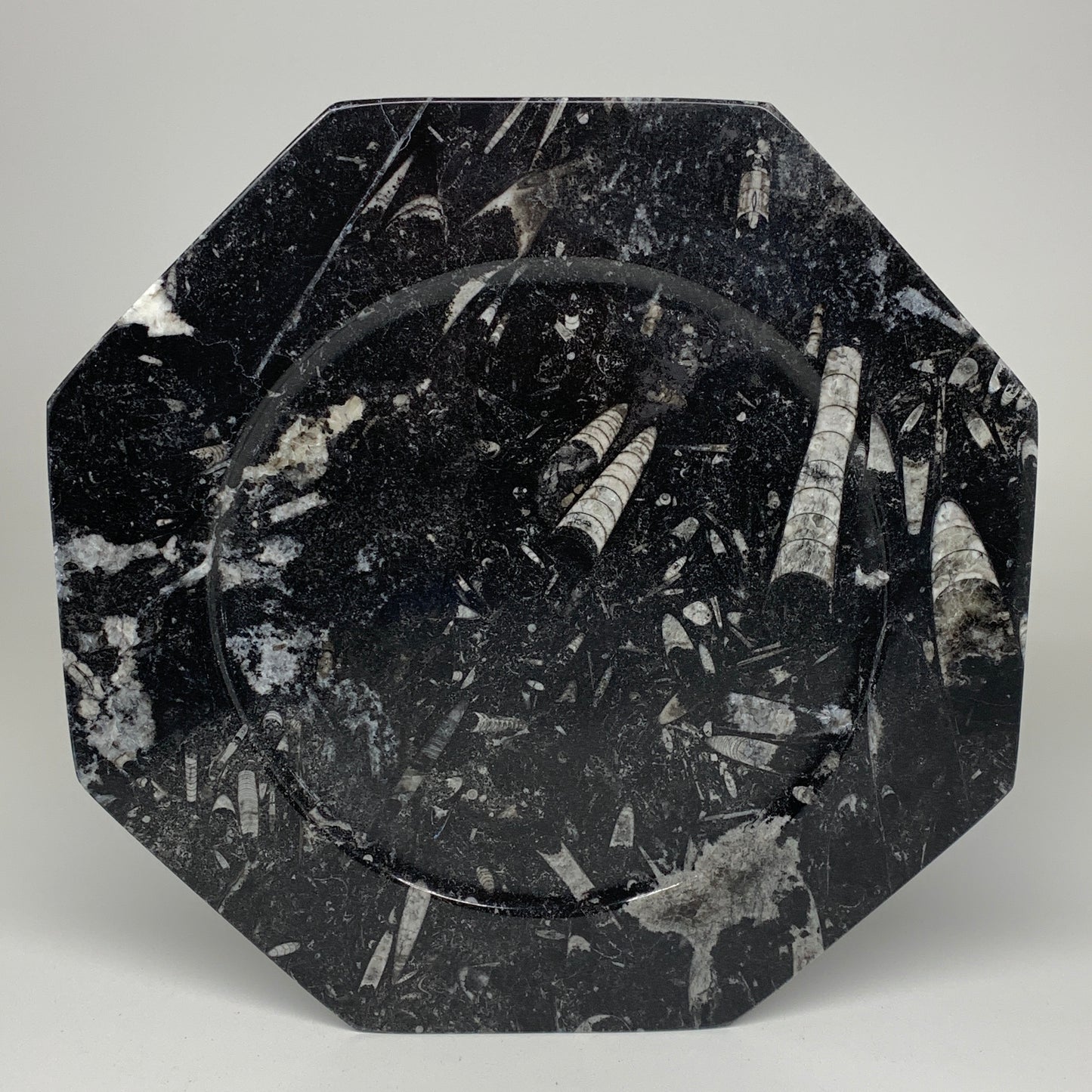 2pcs, 12" Large Octagon Shape Black Fossils Orthoceras Plates @Morocco, B8359