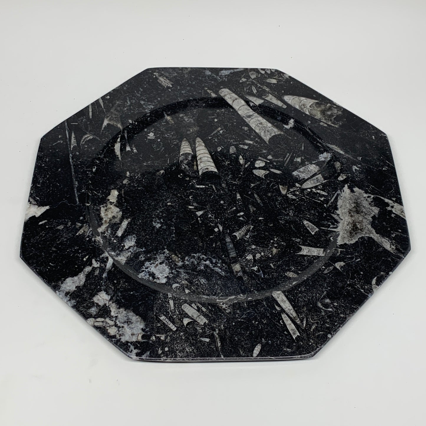 2pcs, 12" Large Octagon Shape Black Fossils Orthoceras Plates @Morocco, B8359