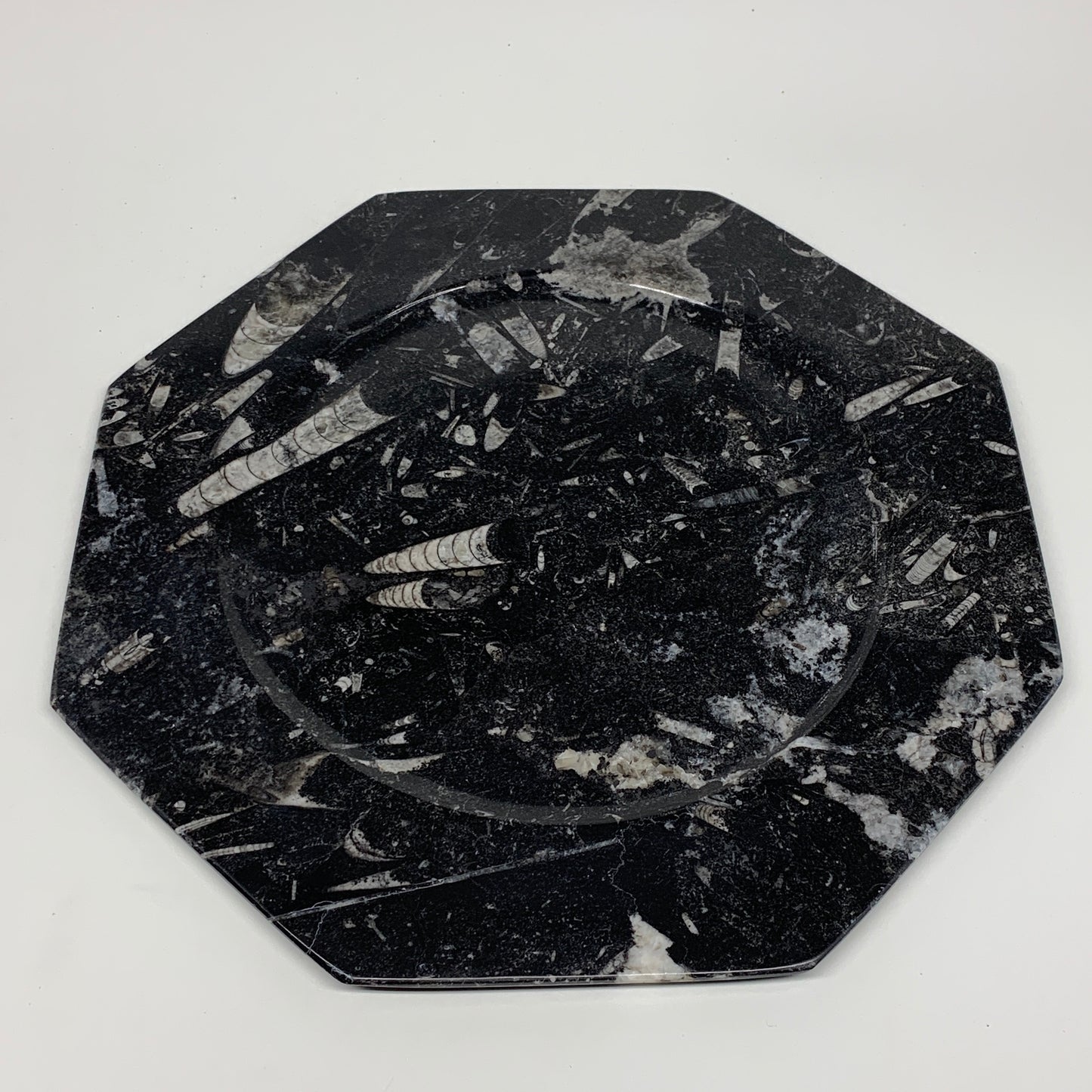 2pcs, 12" Large Octagon Shape Black Fossils Orthoceras Plates @Morocco, B8359