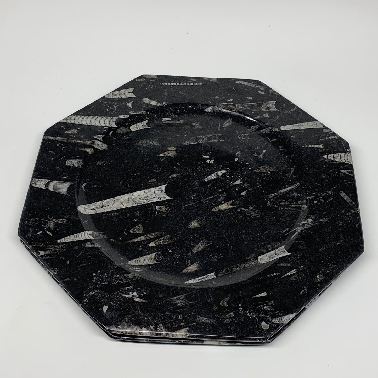 2pcs, 12" Large Octagon Shape Black Fossils Orthoceras Plates @Morocco, B8359