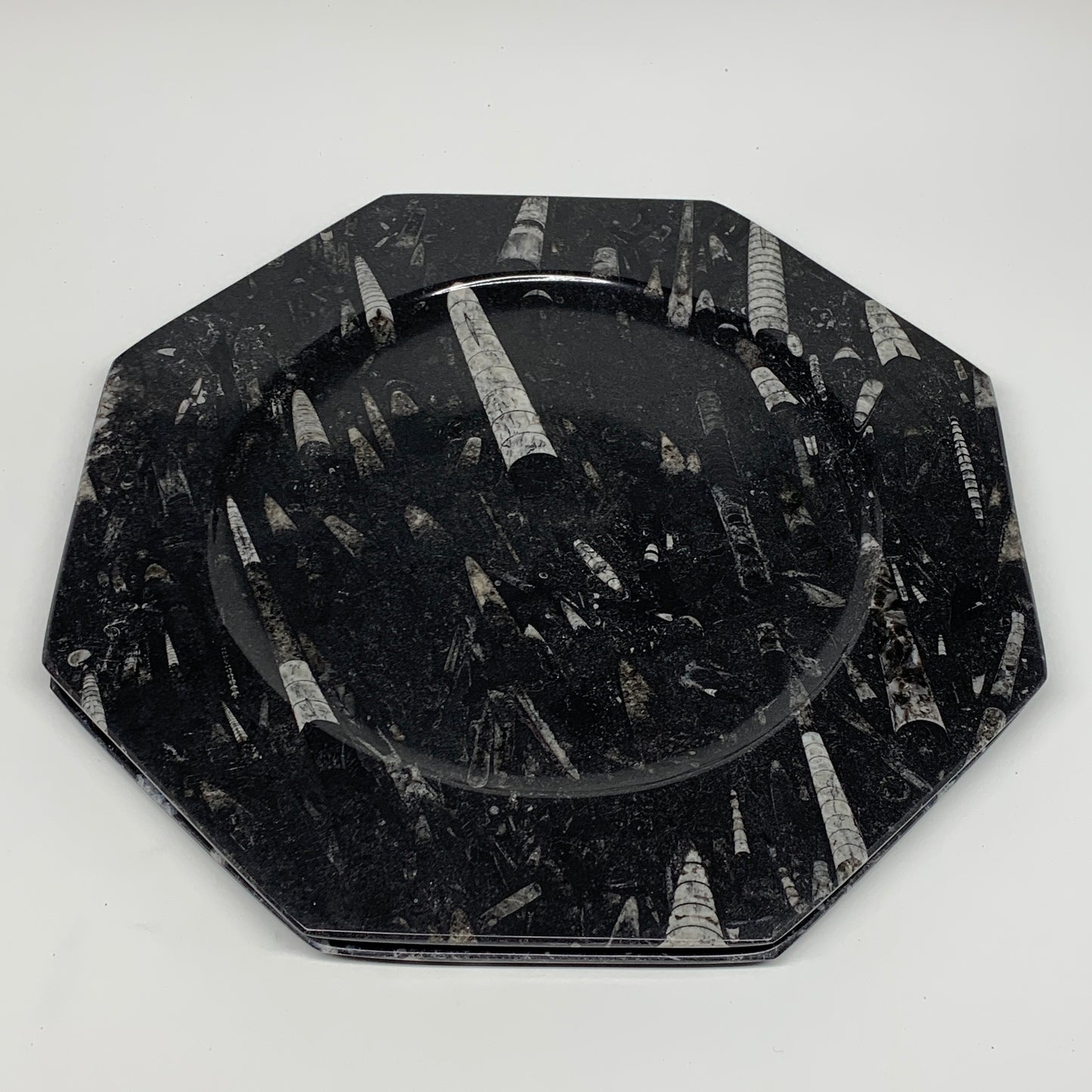 2pcs, 12" Large Octagon Shape Black Fossils Orthoceras Plates @Morocco, B8359
