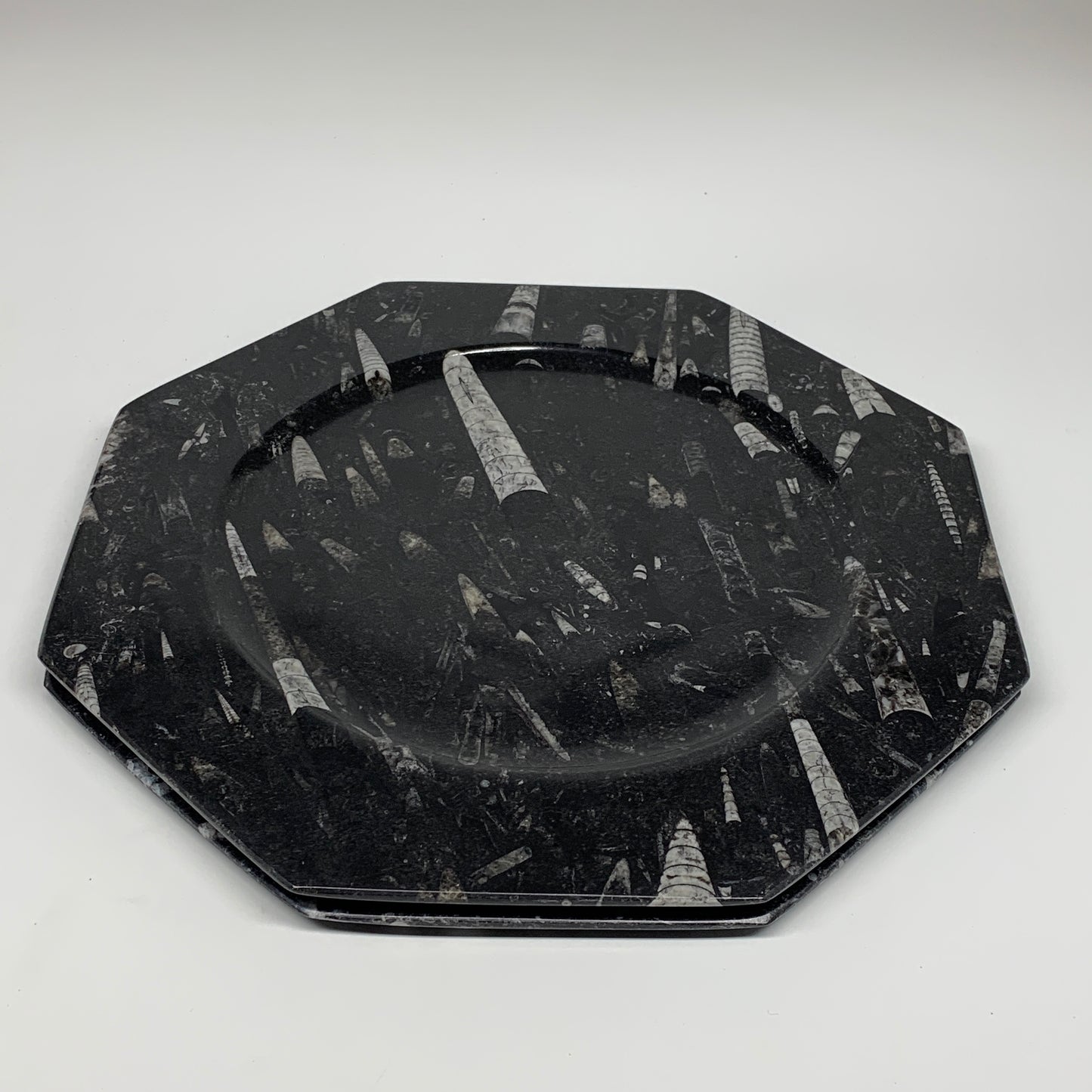 2pcs, 12" Large Octagon Shape Black Fossils Orthoceras Plates @Morocco, B8359