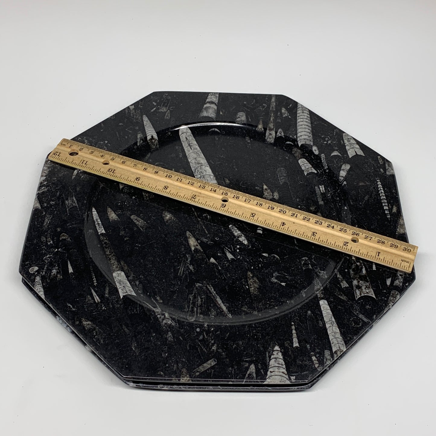 2pcs, 12" Large Octagon Shape Black Fossils Orthoceras Plates @Morocco, B8359