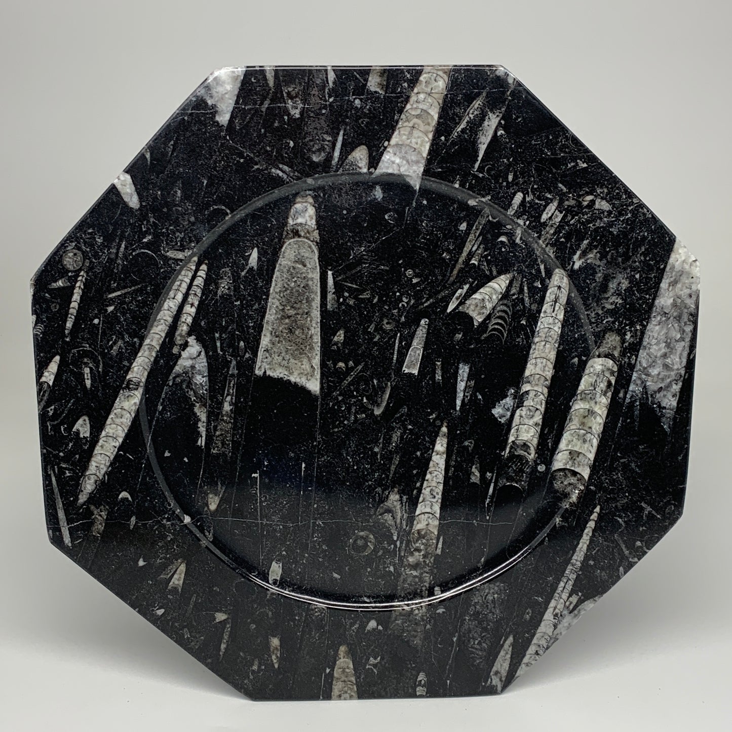 2pcs, 12" Large Octagon Shape Black Fossils Orthoceras Plates @Morocco, B8360