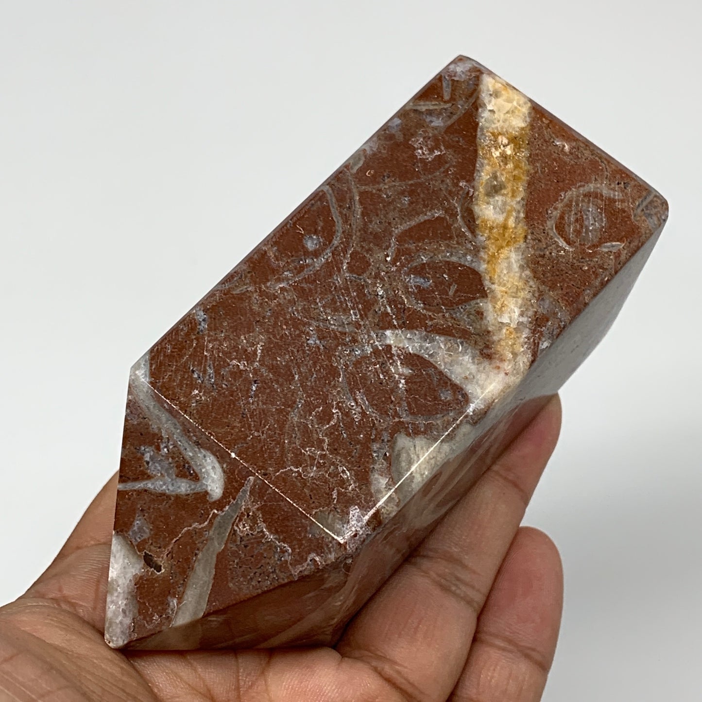 366.6g, 3.9" x 1.6" Natural Red Shell Fossils Tower Obelisk Wand @Morocco, F890