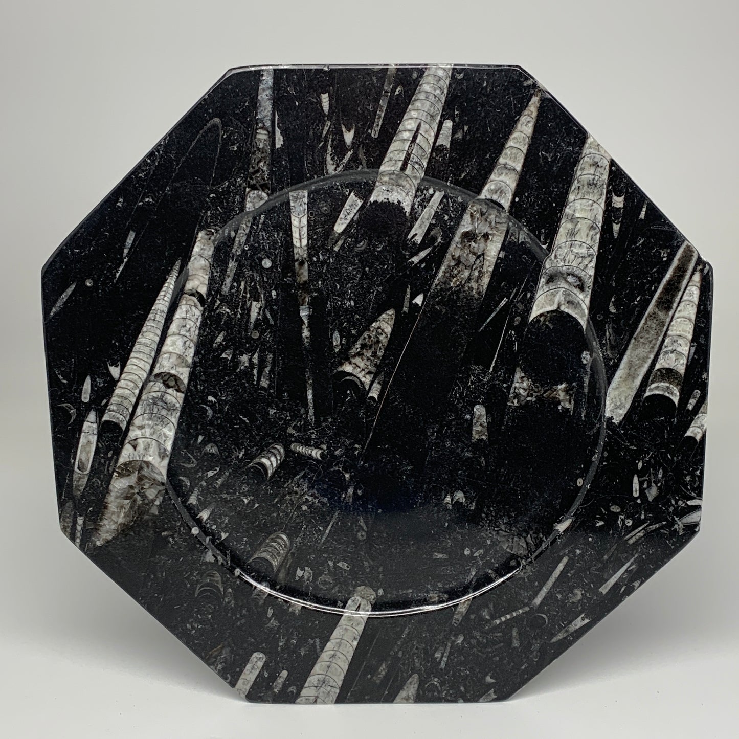 2pcs, 12" Large Octagon Shape Black Fossils Orthoceras Plates @Morocco, B8360