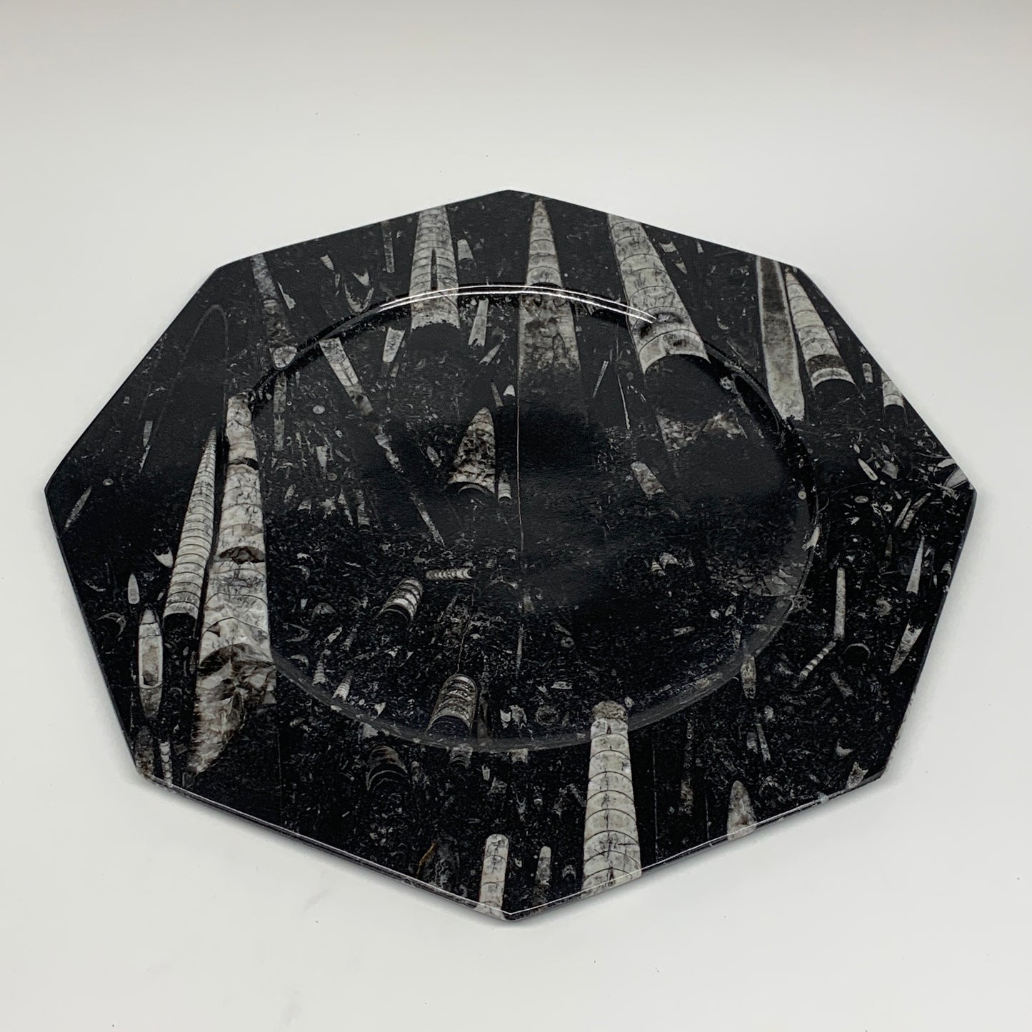 2pcs, 12" Large Octagon Shape Black Fossils Orthoceras Plates @Morocco, B8360