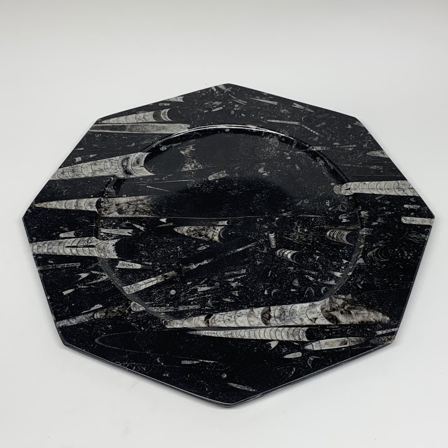 2pcs, 12" Large Octagon Shape Black Fossils Orthoceras Plates @Morocco, B8360
