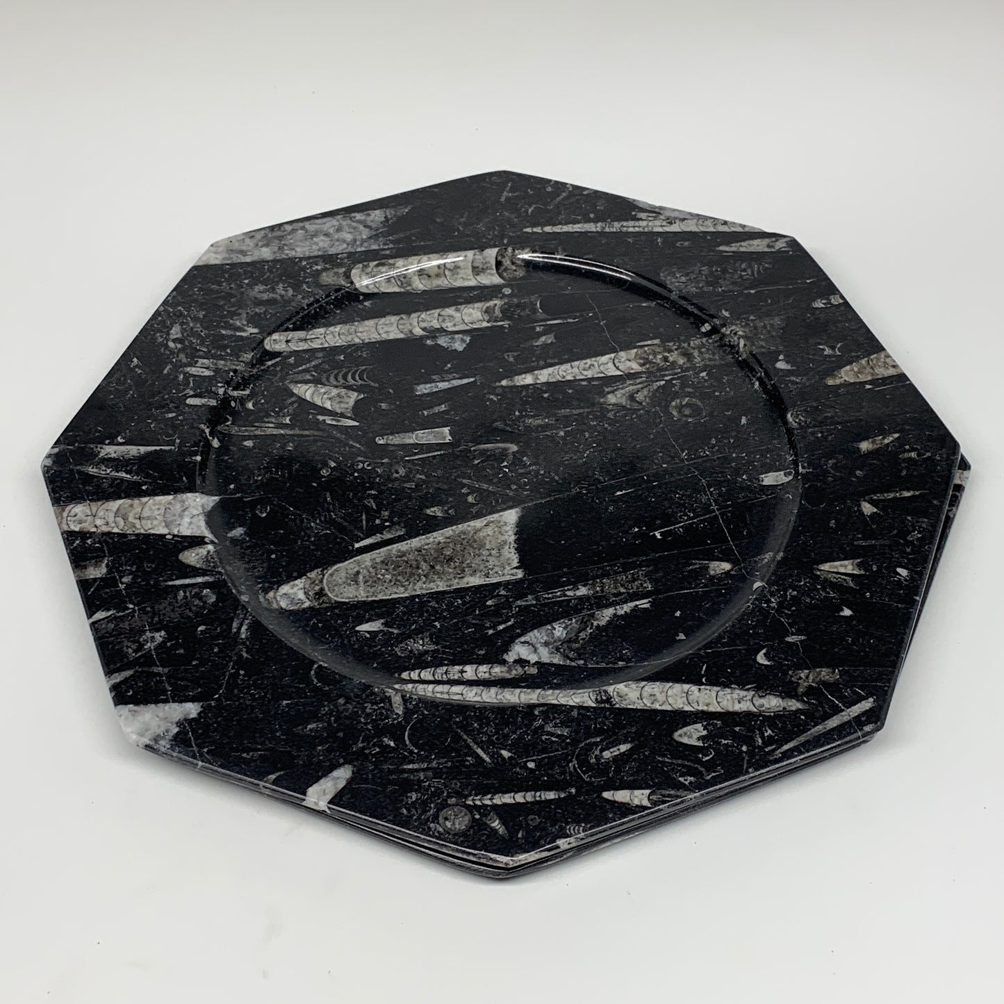 2pcs, 12" Large Octagon Shape Black Fossils Orthoceras Plates @Morocco, B8360