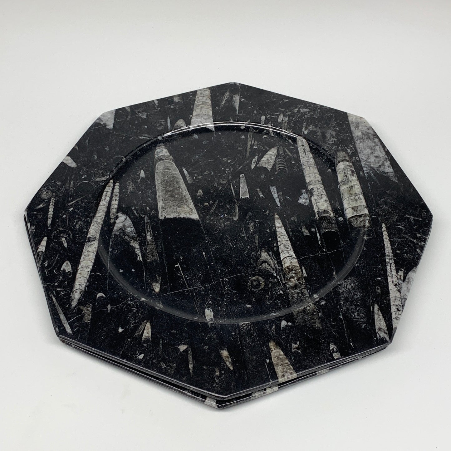 2pcs, 12" Large Octagon Shape Black Fossils Orthoceras Plates @Morocco, B8360