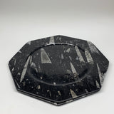 2pcs, 12" Large Octagon Shape Black Fossils Orthoceras Plates @Morocco, B8360