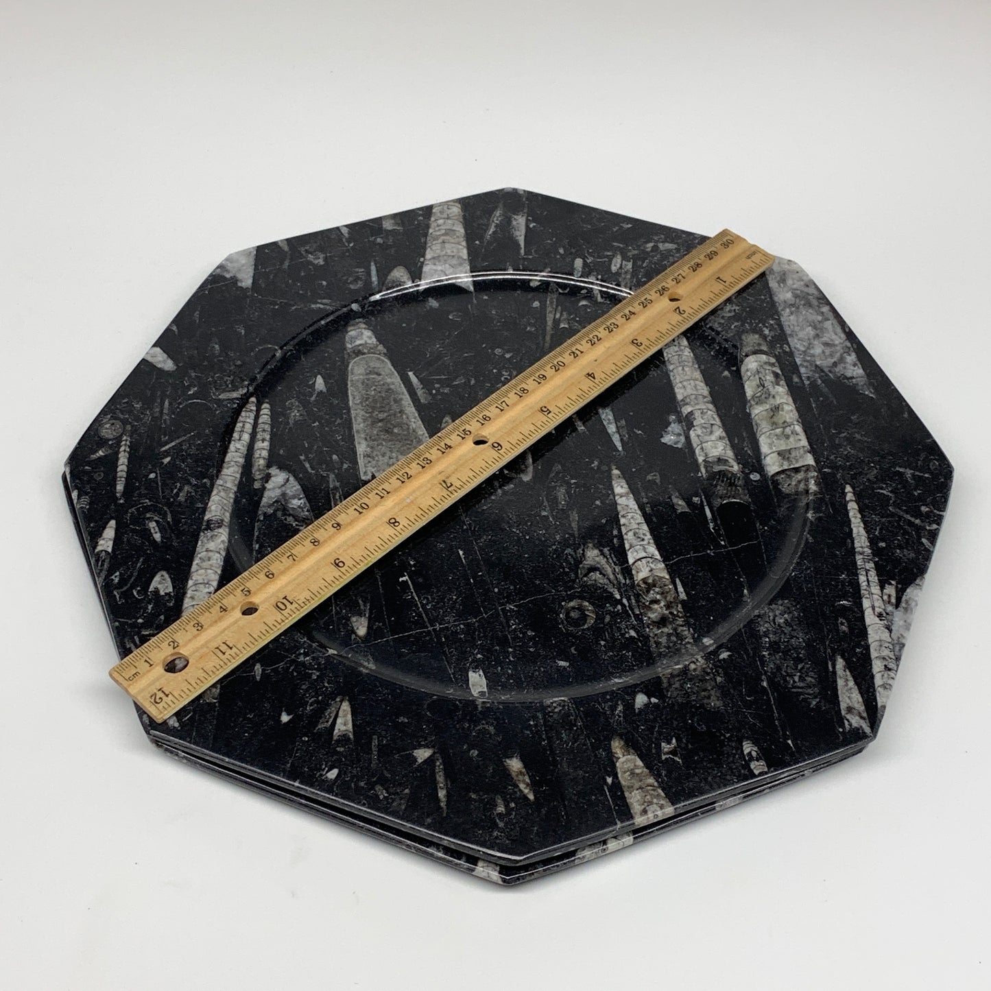 2pcs, 12" Large Octagon Shape Black Fossils Orthoceras Plates @Morocco, B8360