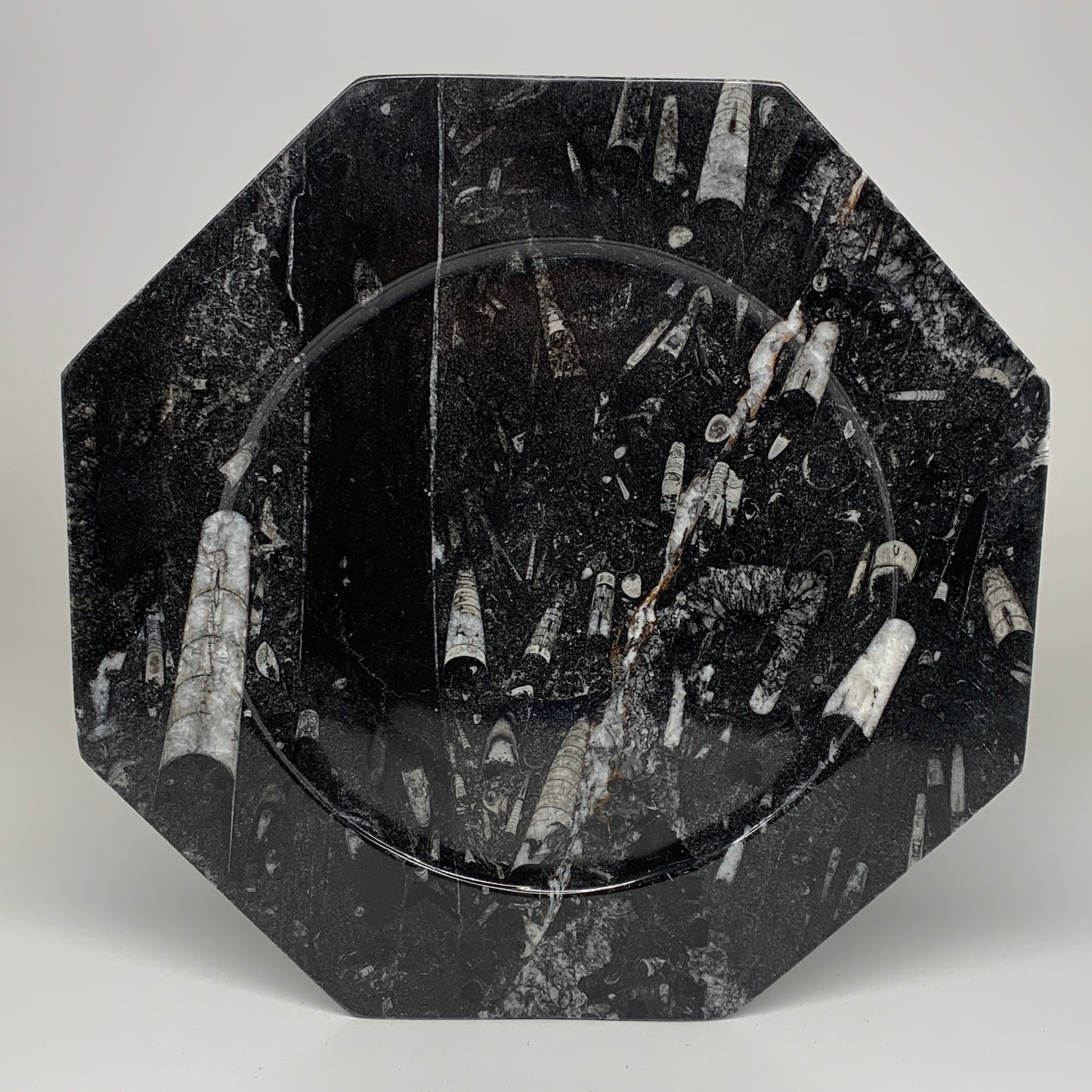 2pcs, 12" Large Octagon Shape Black Fossils Orthoceras Plates @Morocco, B8361