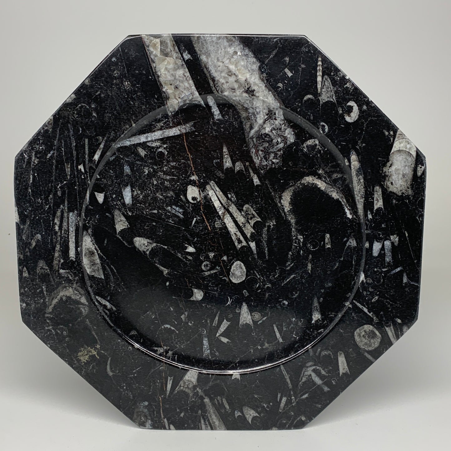 2pcs, 12" Large Octagon Shape Black Fossils Orthoceras Plates @Morocco, B8361