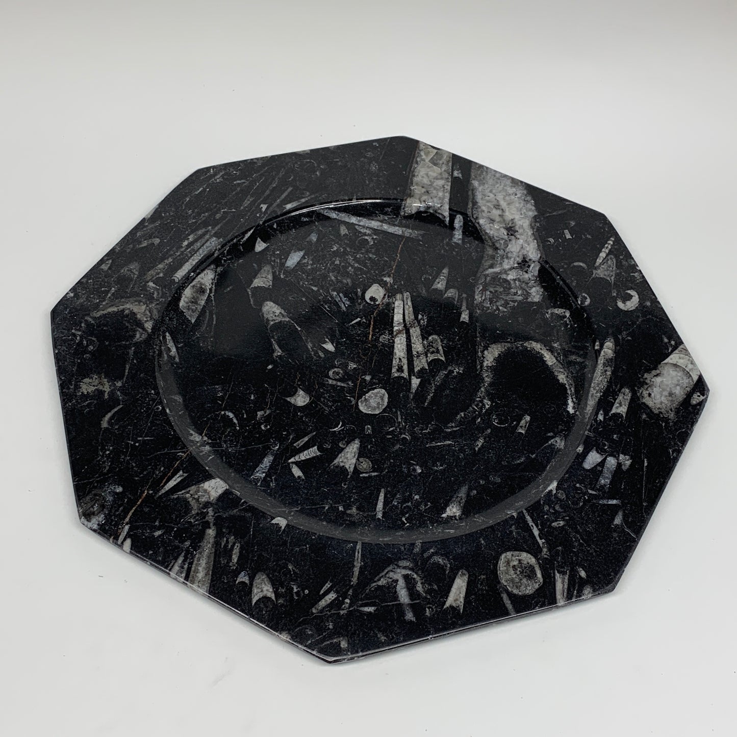 2pcs, 12" Large Octagon Shape Black Fossils Orthoceras Plates @Morocco, B8361