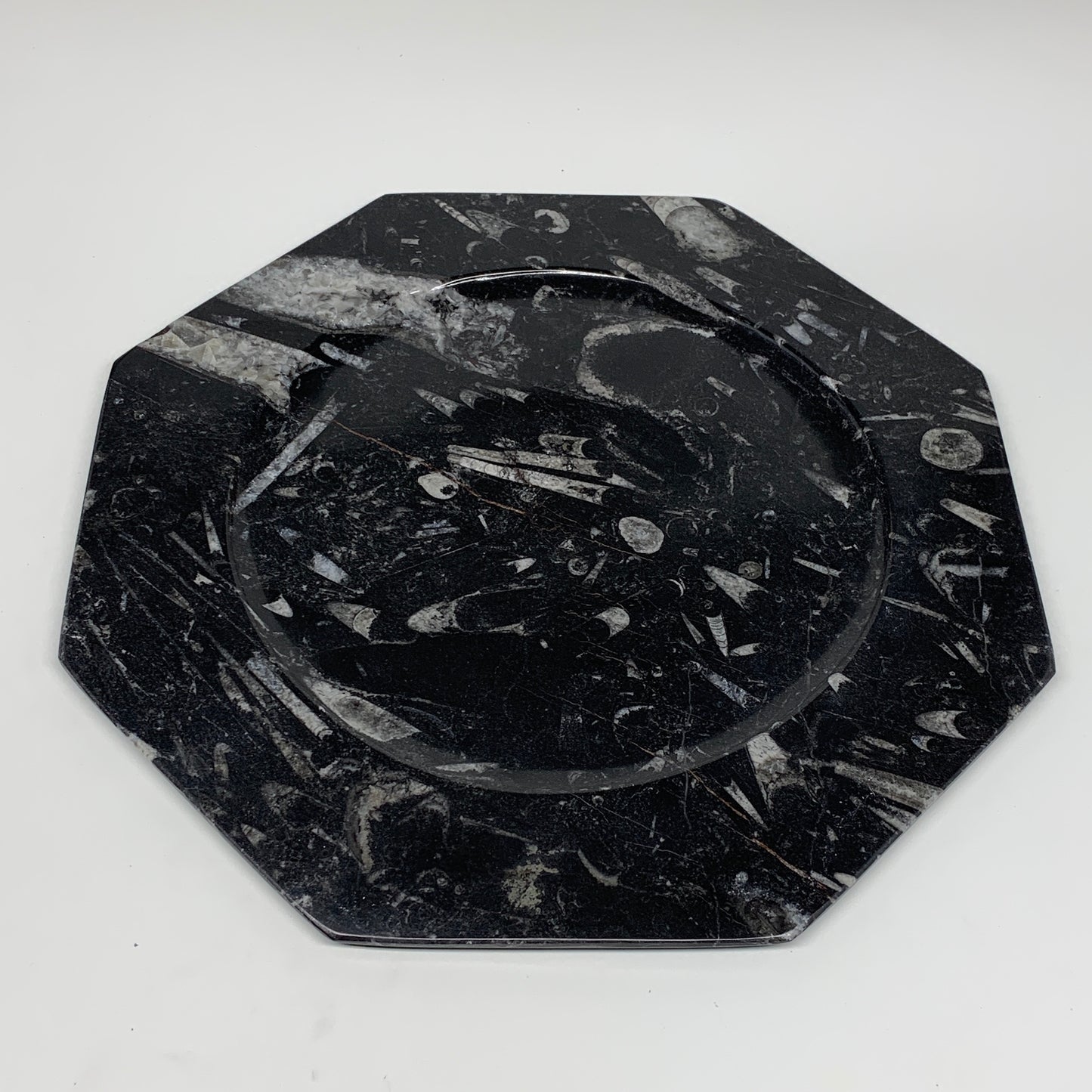 2pcs, 12" Large Octagon Shape Black Fossils Orthoceras Plates @Morocco, B8361