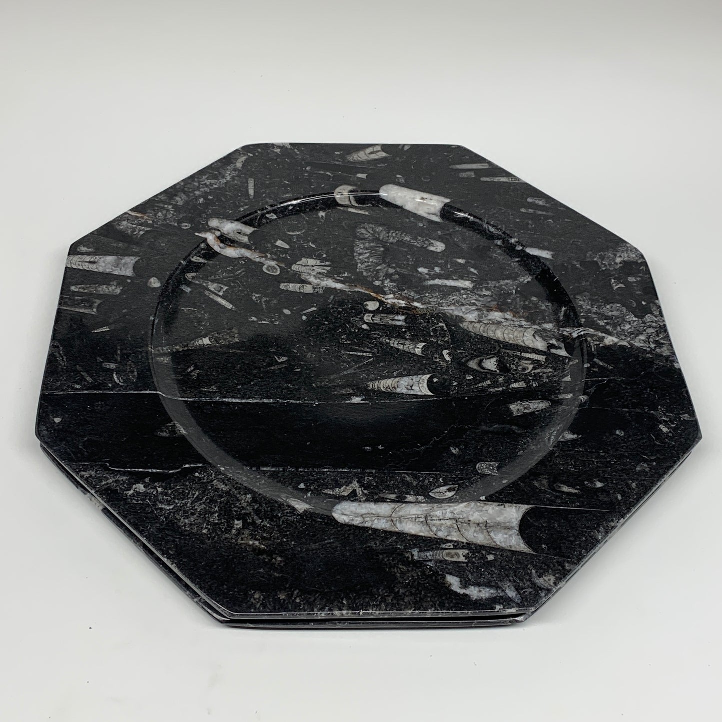 2pcs, 12" Large Octagon Shape Black Fossils Orthoceras Plates @Morocco, B8361