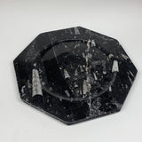 2pcs, 12" Large Octagon Shape Black Fossils Orthoceras Plates @Morocco, B8361