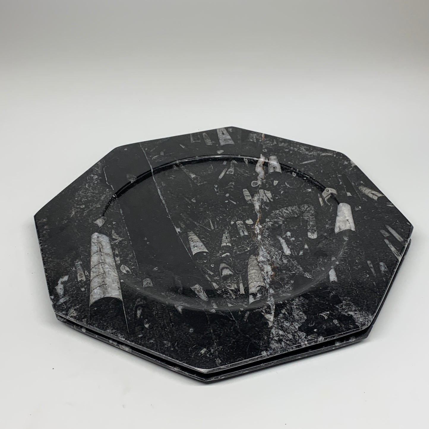 2pcs, 12" Large Octagon Shape Black Fossils Orthoceras Plates @Morocco, B8361