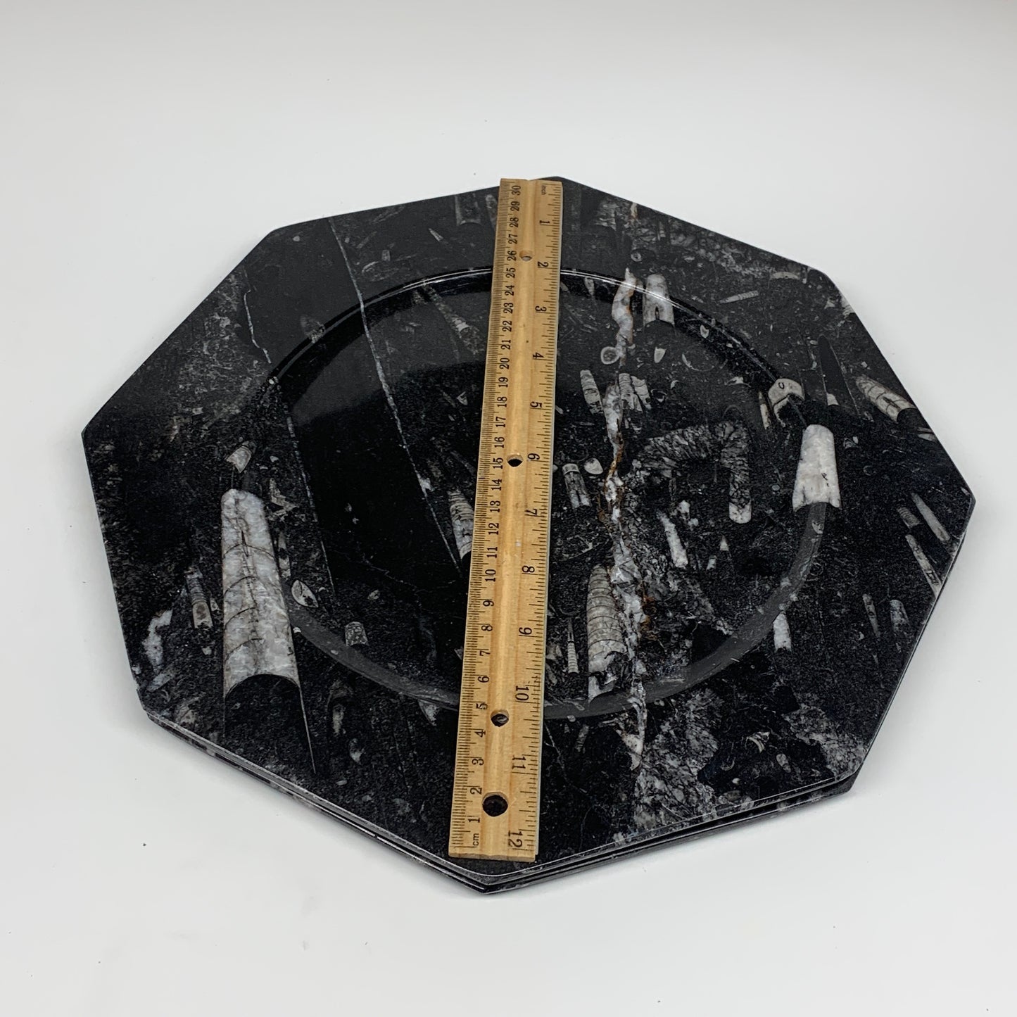 2pcs, 12" Large Octagon Shape Black Fossils Orthoceras Plates @Morocco, B8361
