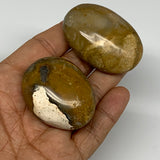 92.4g, 1.8"-2, Yellow Ocean Jasper Palm-Stone Decor @Madagascar, B18190