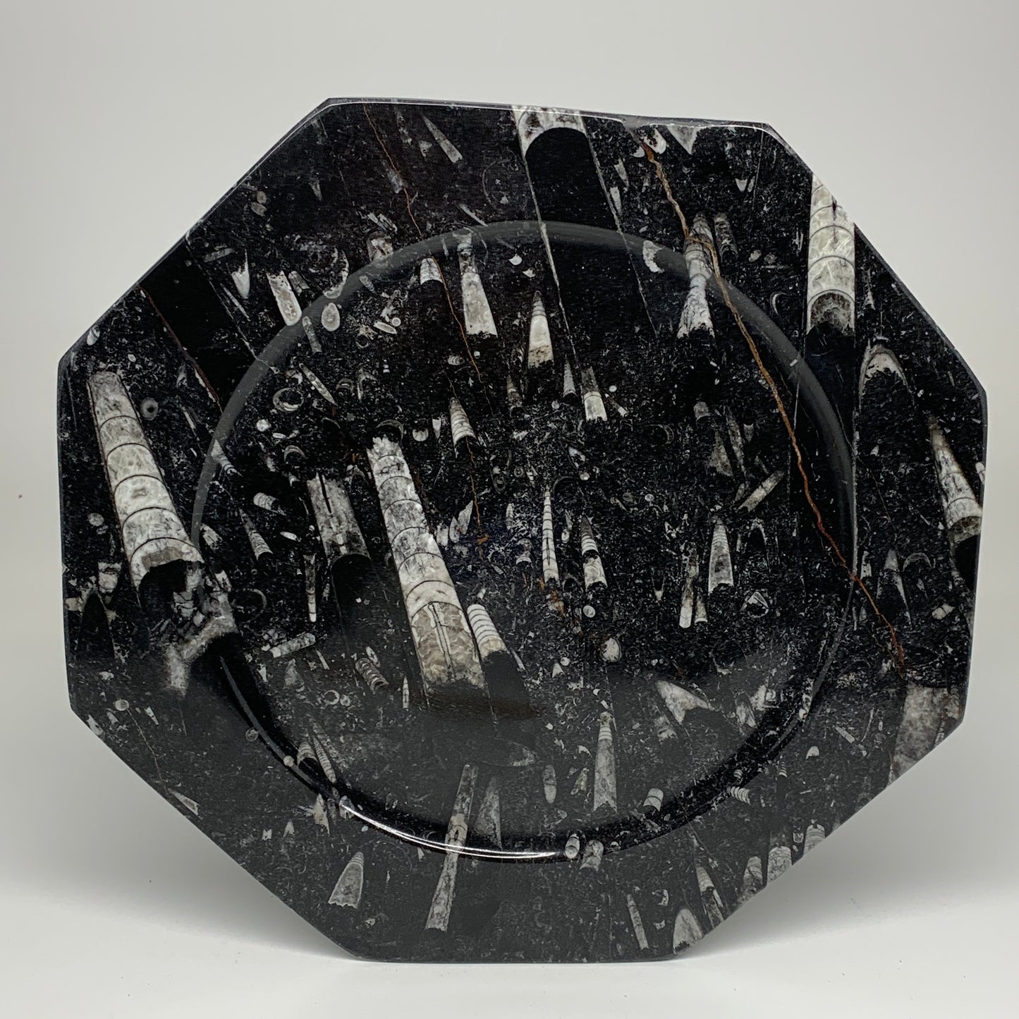 2pcs, 12" Large Octagon Shape Black Fossils Orthoceras Plates @Morocco, B8363