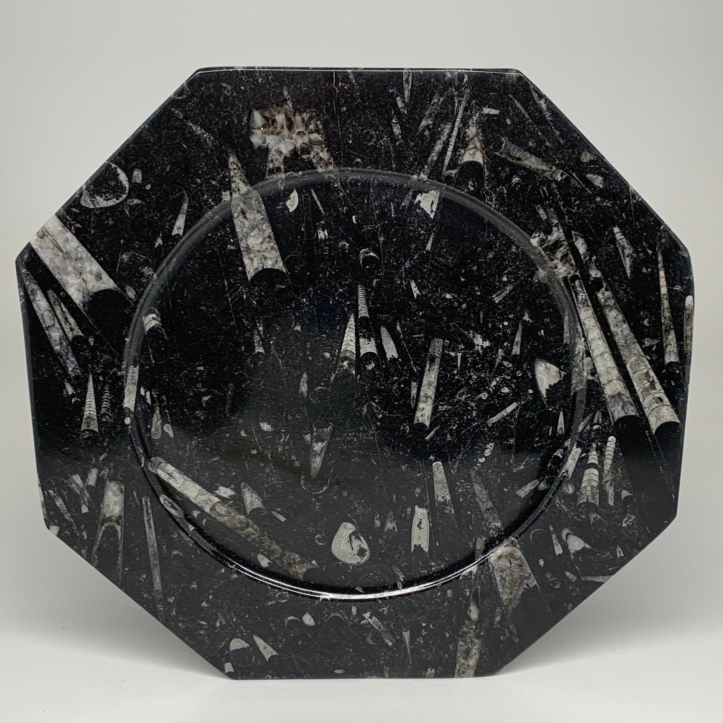 2pcs, 12" Large Octagon Shape Black Fossils Orthoceras Plates @Morocco, B8363