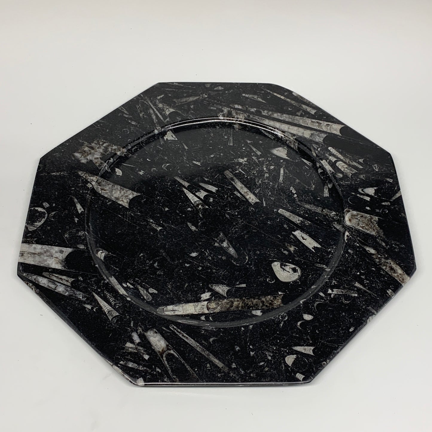 2pcs, 12" Large Octagon Shape Black Fossils Orthoceras Plates @Morocco, B8363