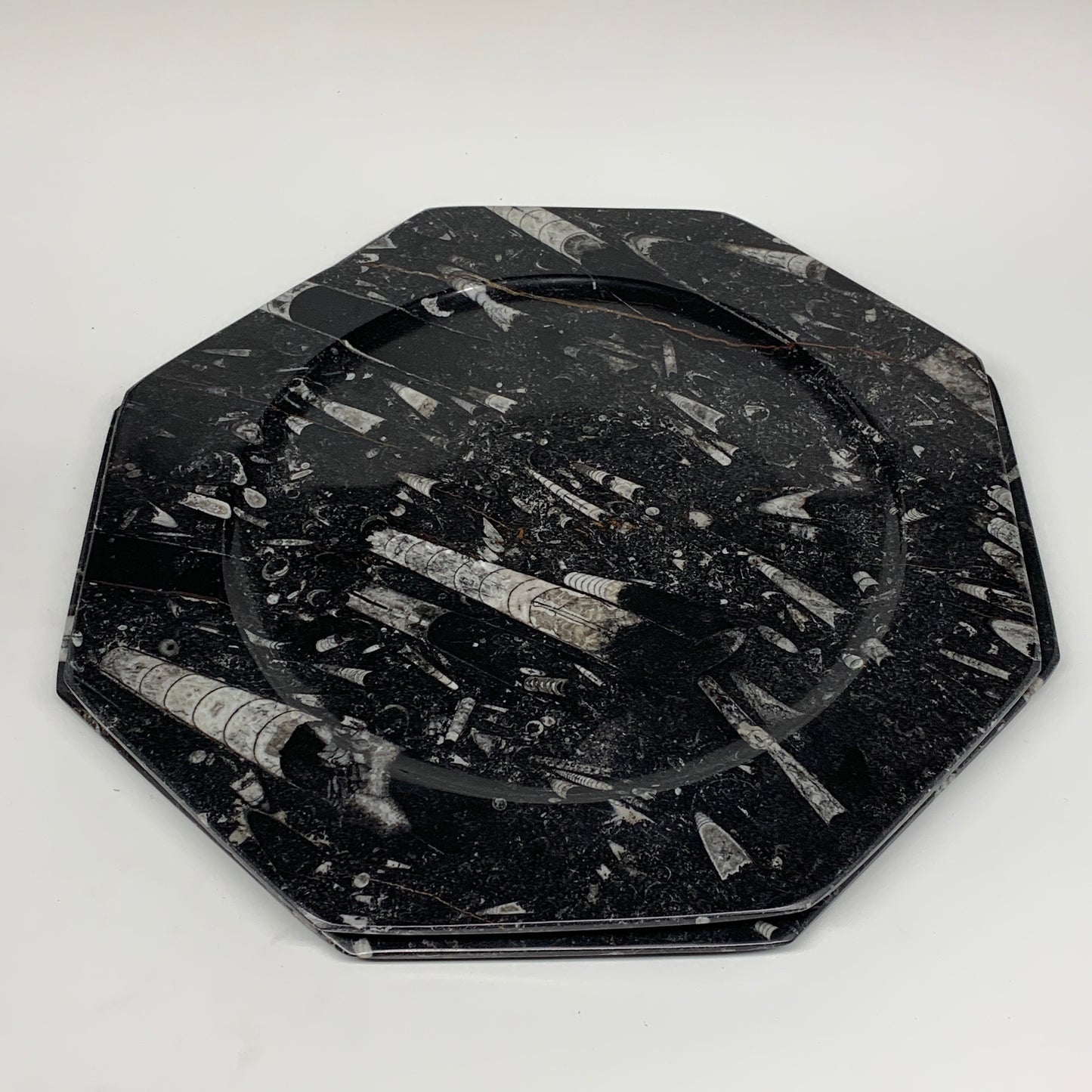 2pcs, 12" Large Octagon Shape Black Fossils Orthoceras Plates @Morocco, B8363
