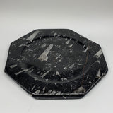 2pcs, 12" Large Octagon Shape Black Fossils Orthoceras Plates @Morocco, B8363