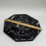 2pcs, 12" Large Octagon Shape Black Fossils Orthoceras Plates @Morocco, B8363