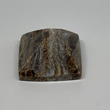 56.6g, 1.1"x1.6"x1.6" Chocolate/Gray Onyx Pyramid Gemstone @Morocco, B18962