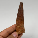 45.2g, 3.8"X1"x 0.7", Rare Natural Fossils Spinosaurus Tooth from Morocco, F3240