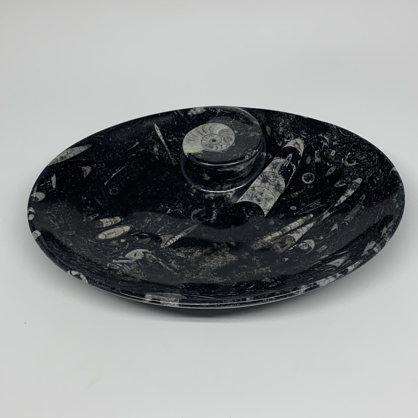 690g, 8.75"x6.5" Black Fossils Ammonite Orthoceras Bowl Oval Ring @Morocco,B8375