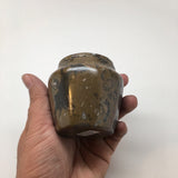 270g, 2.6"x2.7" Small Round Fossils Ammonite Brown Jewelry Box @Morocco,MF836 - watangem.com