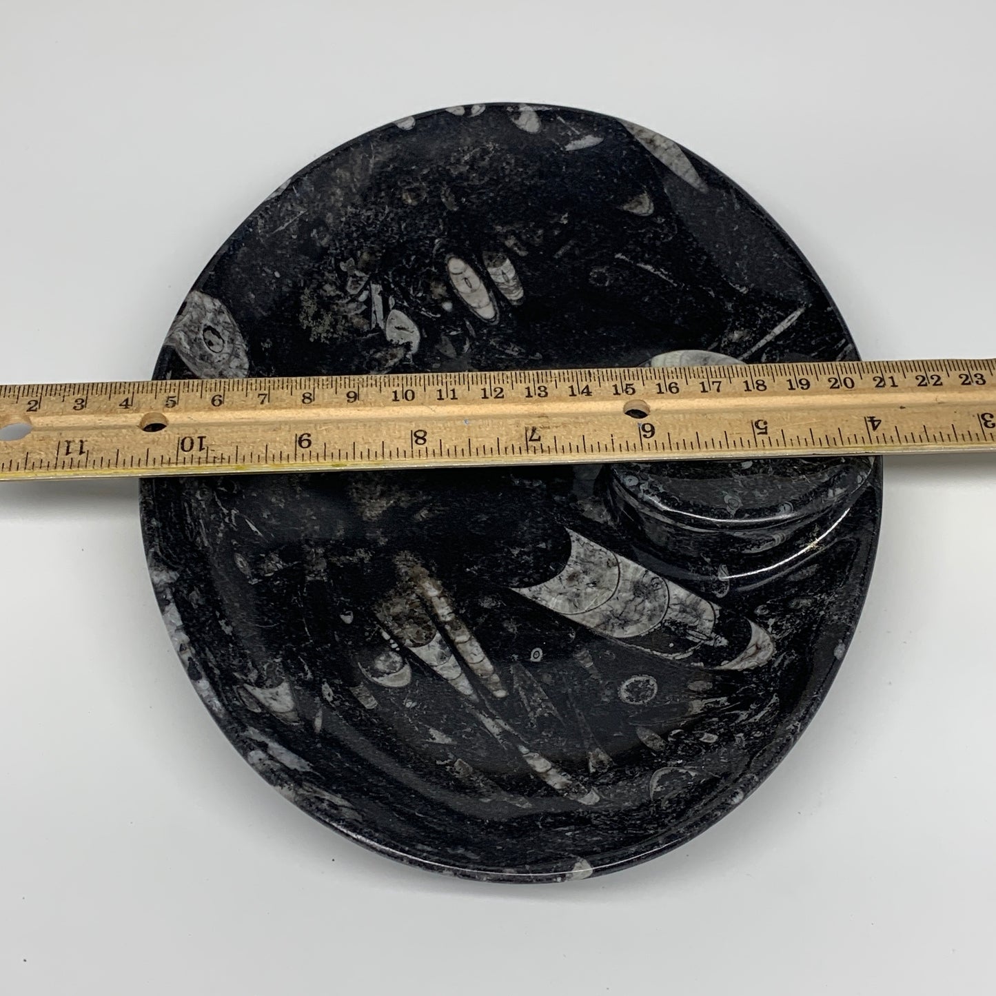 690g, 8.75"x6.5" Black Fossils Ammonite Orthoceras Bowl Oval Ring @Morocco,B8375