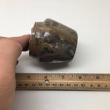 270g, 2.6"x2.7" Small Round Fossils Ammonite Brown Jewelry Box @Morocco,MF836 - watangem.com