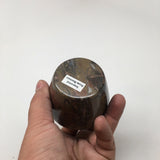 266g, 2.6"x2.7" Small Round Fossils Ammonite Brown Jewelry Box @Morocco,MF838 - watangem.com