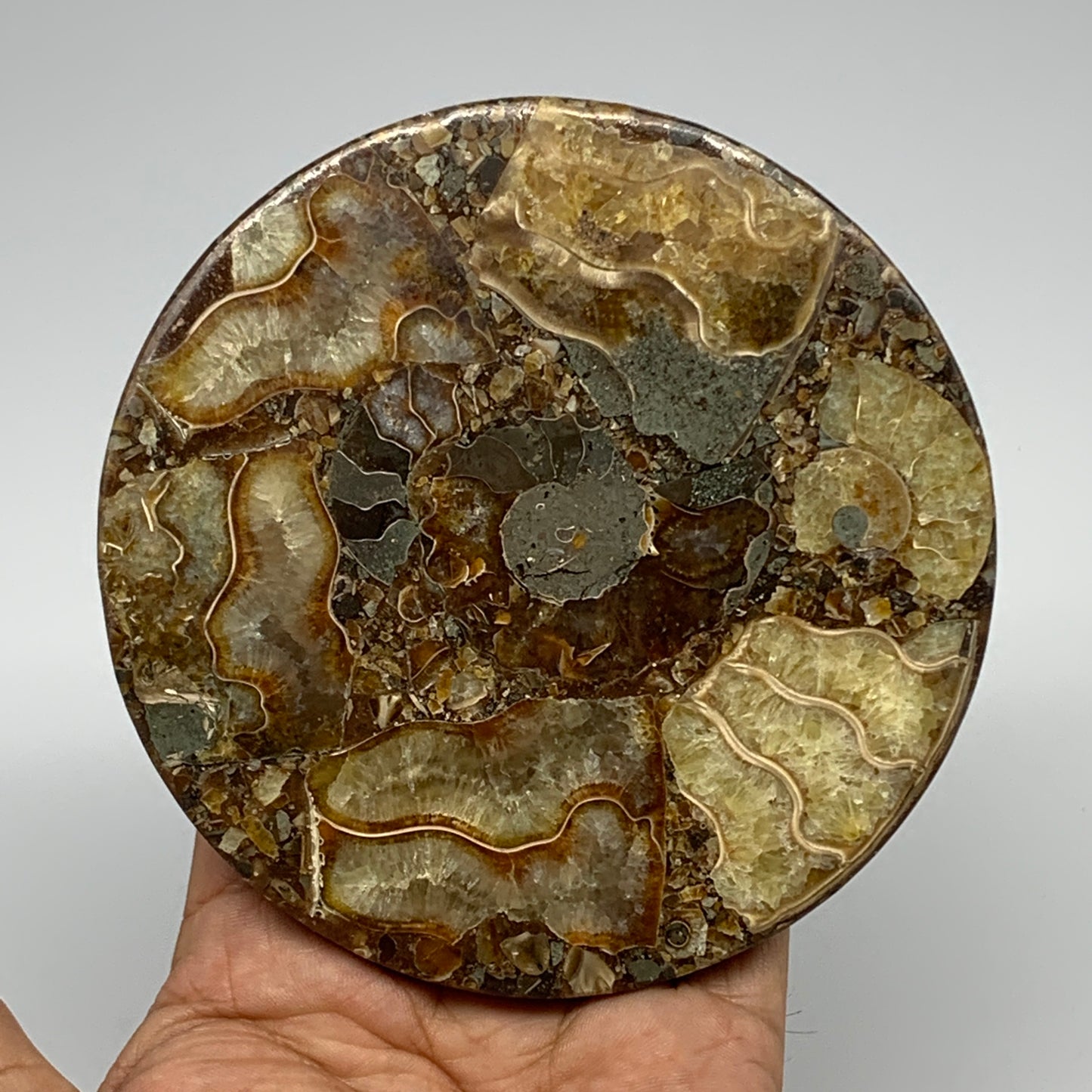 190.2g, 4.3"x0.4", Ammonite coaster fossils made round disc @Madagascar, B15059