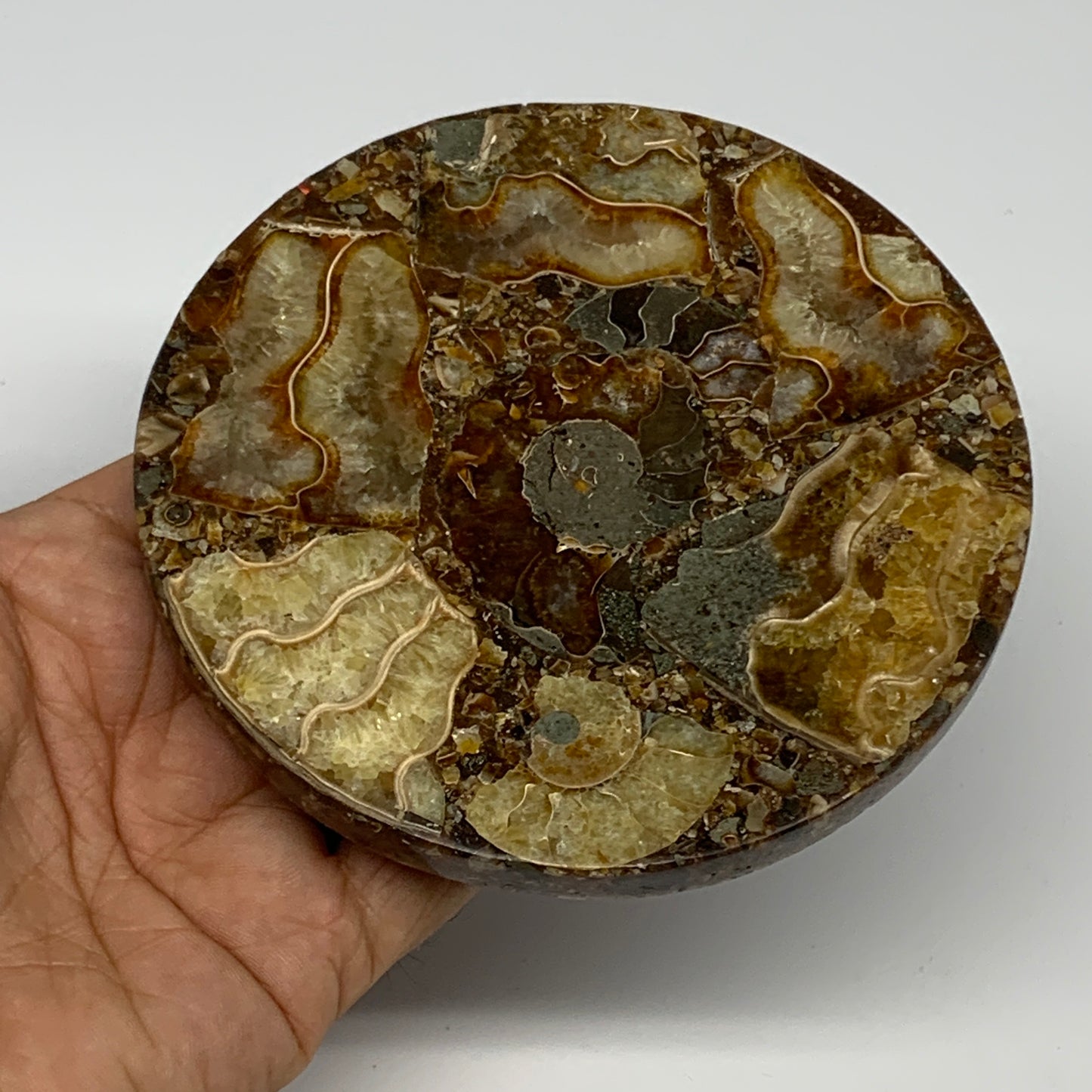 190.2g, 4.3"x0.4", Ammonite coaster fossils made round disc @Madagascar, B15059