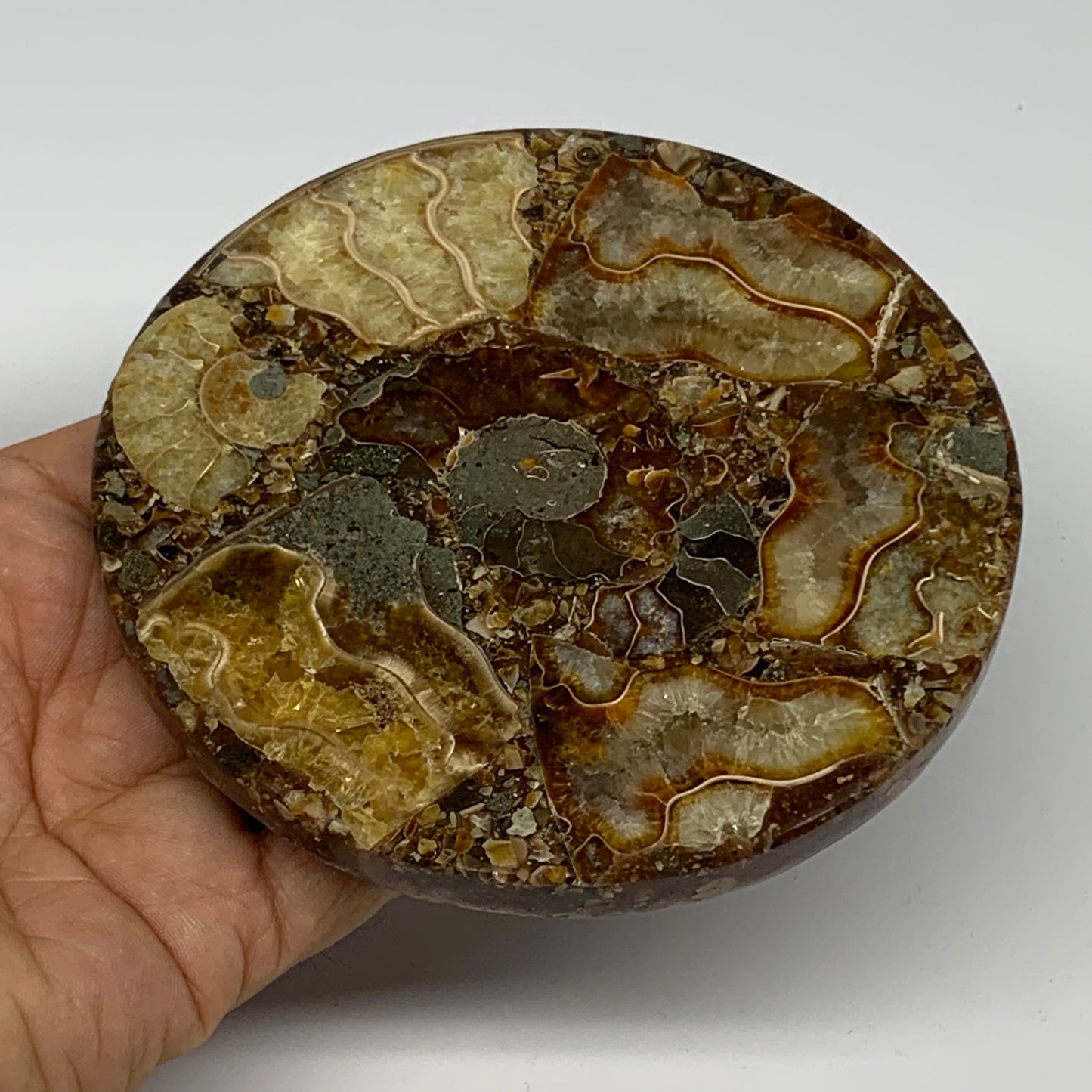 190.2g, 4.3"x0.4", Ammonite coaster fossils made round disc @Madagascar, B15059