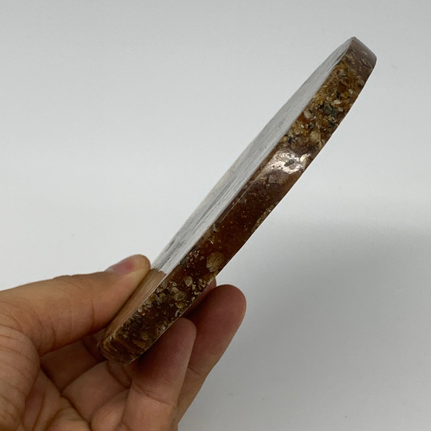 190.2g, 4.3"x0.4", Ammonite coaster fossils made round disc @Madagascar, B15059