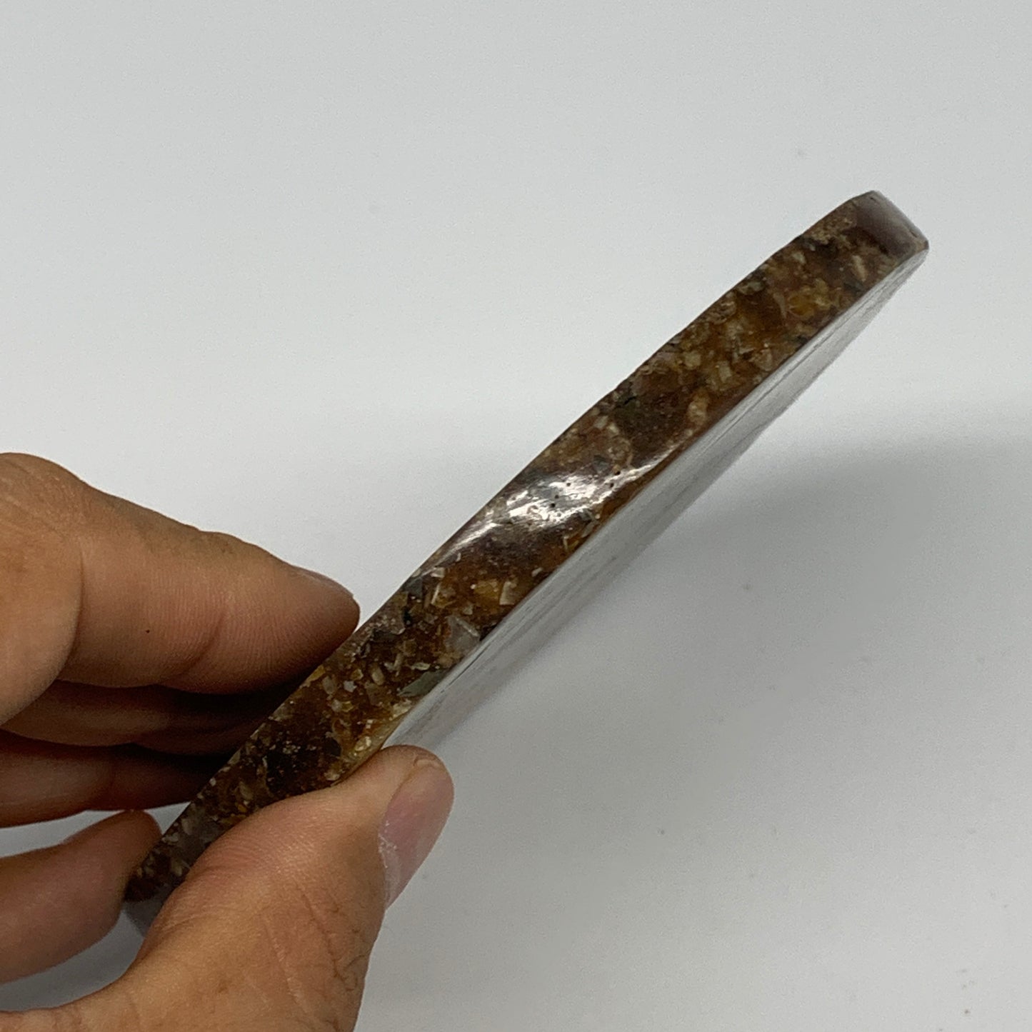 190.2g, 4.3"x0.4", Ammonite coaster fossils made round disc @Madagascar, B15059