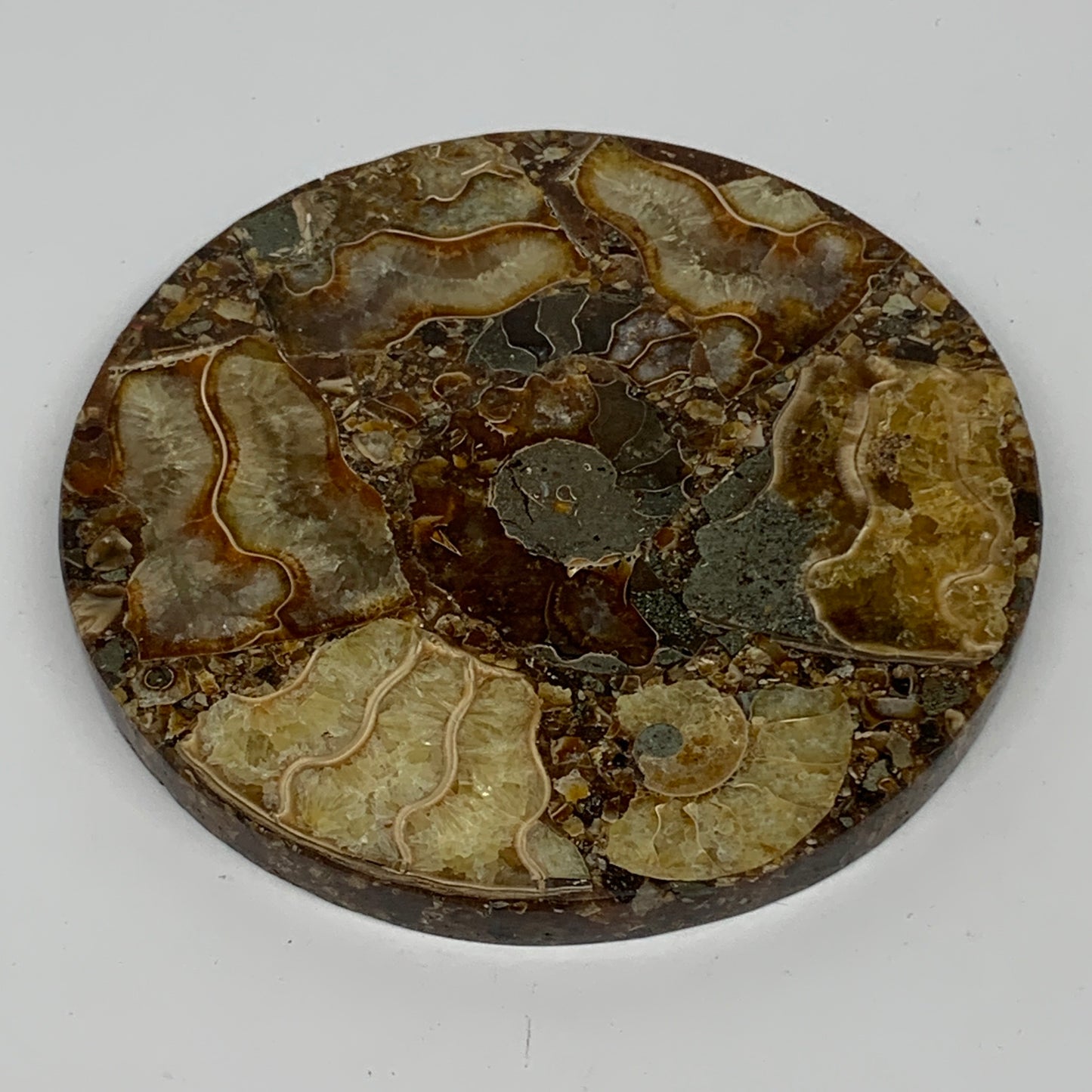 190.2g, 4.3"x0.4", Ammonite coaster fossils made round disc @Madagascar, B15059