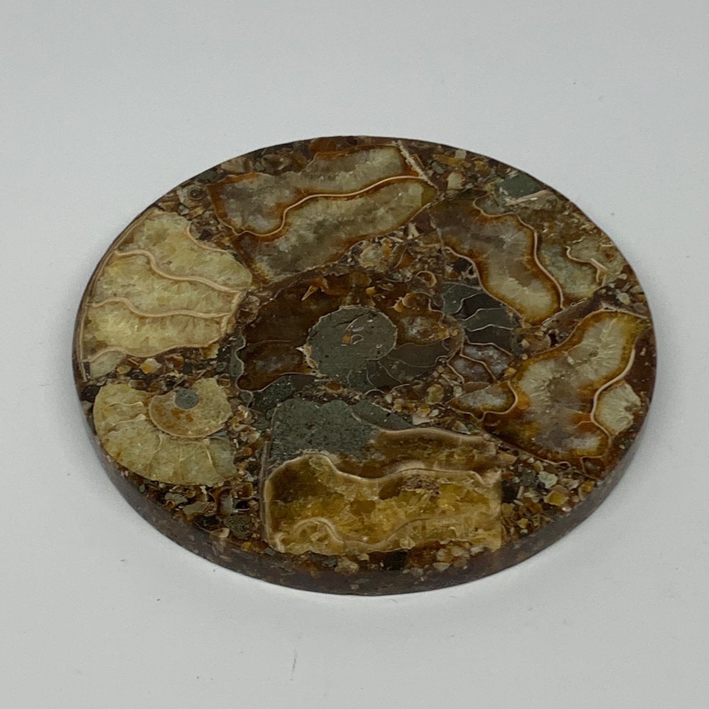 190.2g, 4.3"x0.4", Ammonite coaster fossils made round disc @Madagascar, B15059
