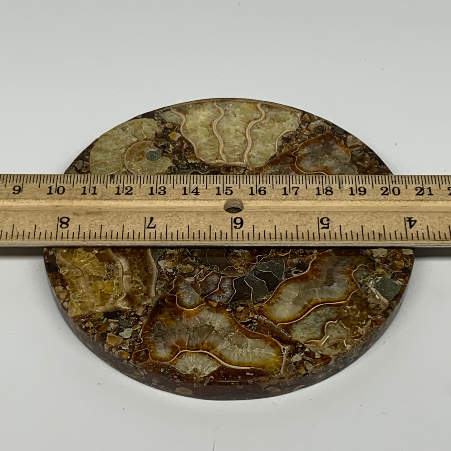 190.2g, 4.3"x0.4", Ammonite coaster fossils made round disc @Madagascar, B15059