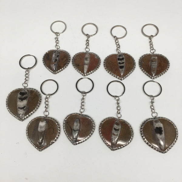 1pc,4.5", 24-30g,Brown Orthoceras Fossil Heart Polished Keychain @Morocco,FP06