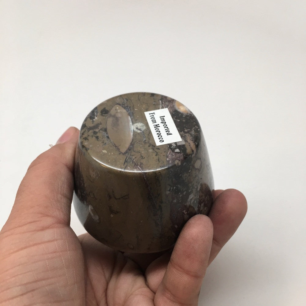 240g, 2.6"x2.7" Small Round Fossils Ammonite Brown Jewelry Box @Morocco,MF842 - watangem.com